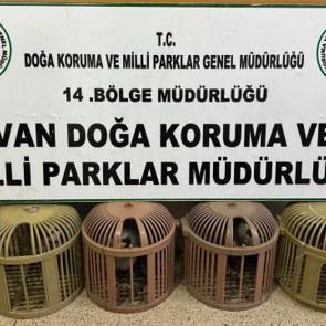 Van&rsquo;da ka&ccedil;ak avcıya jandarma ve milli parklar engeli!