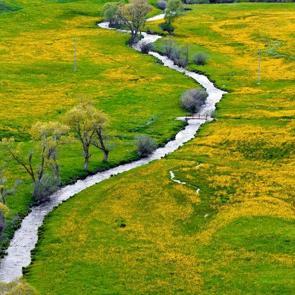 Yılda 20 g&uuml;n g&ouml;r&uuml;len at ayağı a&ccedil;tı: G&uuml;m&uuml;şhane&rsquo;de seyirlik manzaralar