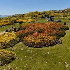 Ordu'nun y&uuml;rek sızlatan efsanesi ile &uuml;nl&uuml; Kırkkızlar Obası, renkleriyle mest etti