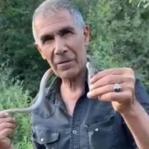 'Bir ısırığı tahtalı k&ouml;ye g&ouml;nderir' dedi boynuna doladı! Akılalmaz anlar kamerada 