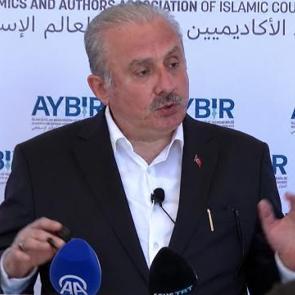 İstanbul'da "Suriye'de Yeni Anayasa ve Toplumsal Barış" paneli d&uuml;zenlendi