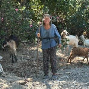 90 yaşındaki &ccedil;obanı g&ouml;ren hayret ediyor 