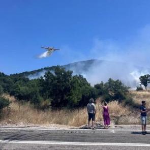 Ayvacık'ta orman yangını kontrol altına alındı