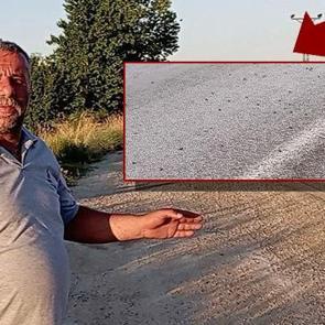 Tokat'ta şaşırtan manzara: Binlercesi kara yolunu bastı! S&uuml;r&uuml;c&uuml;ler g&ouml;zlerine inanamadı