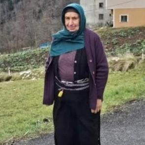 Yengesini ot bi&ccedil;me kavgası y&uuml;z&uuml;nden &ouml;ld&uuml;r&uuml;p, yeğeni ve oğlunu ağır yaraladı