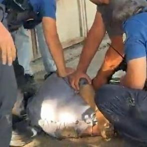 Akli dengesi yerinde olamayan adamın &uuml;zerinden &ccedil;ıkan para şoke etti