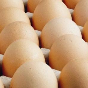 ABD'de salmonella alarmı: Milyonlarca yumurta toplandı