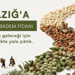 Elazığ'ın taşlık yama&ccedil;ları bademle yeşerecek: &Ccedil;EKUD'dan 20 bin fidanlık seferberlik