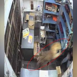 Hindistan'da dehşet anları: D&uuml;kkana dalan leoparla &ouml;l&uuml;m kalım savaşı