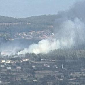 Son dakika: Muğla'da orman yangını!