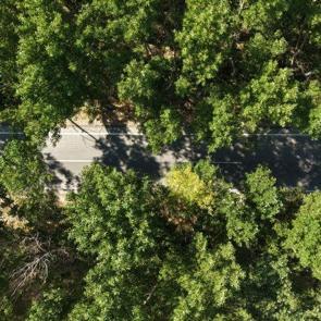 Tokat'ta yazın serinleten yeşil t&uuml;nel doğaseverlerin g&ouml;zdesi oldu
