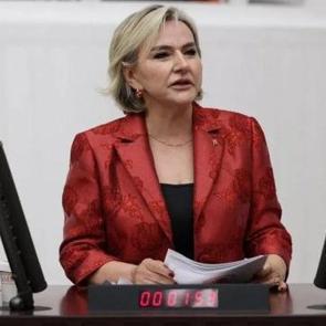 CHP'li vekil Nimet &Ouml;zdemir partisinden istifa etti!