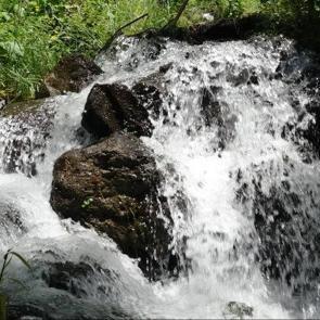 Yılda 1 kez s&uuml;t aktığına inanılıyor! Trabzon&rsquo;un 3 asırlık yaşam pınarı: &Ccedil;amlıbel Irmağı