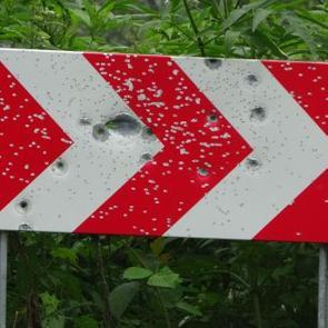Karadeniz yollarındaki sessiz tehlike: Yasağı hi&ccedil;e saydılar!