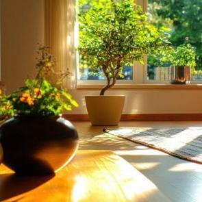 Feng Shui: Evinizi enerjiye a&ccedil;ın