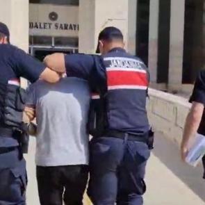Edremit'teki orman yangına ilişkin 1 tutuklama