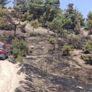 Kahramanmaraş&rsquo;ta orman yangını kontrol altına alındı