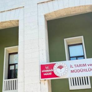 Kedinin ısırdığı 4 yaşındaki &ccedil;ocuk ent&uuml;be edildi! Kuduz testi pozitif &ccedil;ıktı