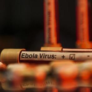Ebola alarmı b&uuml;y&uuml;yor! DS&Ouml;&rsquo;den korkutan uyarı: Risk &ccedil;ok y&uuml;ksek