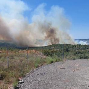 Gebze'de orman yangını