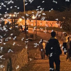 G&ouml;ky&uuml;z&uuml;n&uuml; bir anda kapladı! '&Ouml;l&uuml;m dansı' başladı, yarım saat sonra &ouml;l&uuml;yorlar!