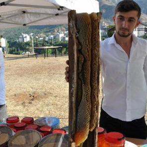 Batman'da ağa&ccedil; kovuğunda &ccedil;ıkartıldı! Kilogram fiyatı &ccedil;eyrek altını ge&ccedil;ti 