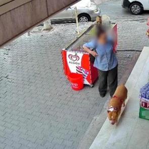 İzmir'de pitbull dehşeti! Kadının işaret parmağını kopardı