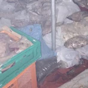 Muğla'da k&ouml;t&uuml; koku gıda skandalına g&ouml;t&uuml;rd&uuml;: 400 kilogram bozuk et ele ge&ccedil;irildi