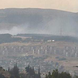 Kahramanmaraş'ta orman yangını