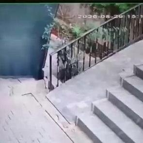 Şanlıurfa'da &ccedil;ocuk kavgasında silahlar konuştu! 