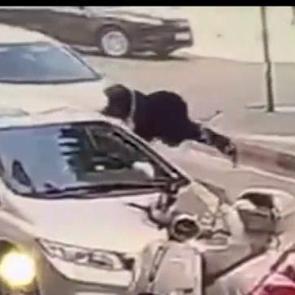 S&uuml;r&uuml;c&uuml; yaya ge&ccedil;idinde dehşet sa&ccedil;tı.