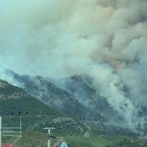 Mersin'de orman yangını! M&uuml;dahale devam ediyor 