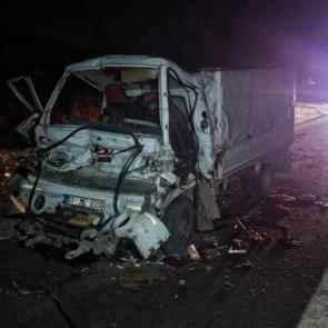 Adana'da feci kaza! Kamyonet, TIR&rsquo;a arkadan &ccedil;arptı: 2 &ouml;l&uuml;