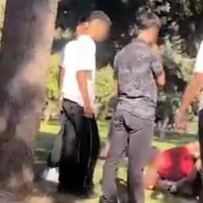 Parkta akran dehşeti: 17 yaşındaki &ccedil;ocuğu d&ouml;v&uuml;p videosunu ailesine g&ouml;nderdiler