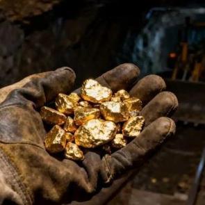 700 kilo altın bulup iki u&ccedil;ak almıştı: Madencinin son hali şaşırttı 