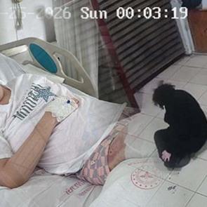 Muğla'da eş dehşeti! Sol bacağının ardından sağ bacağı da ampute edildi 