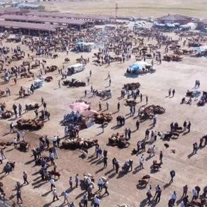 Şap alarmı! Ağrı Hayvan Borsası 30 g&uuml;n s&uuml;reyle kapatıldı