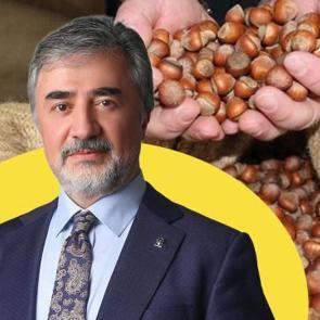 AK Partili Hamarat'tan fındık t&uuml;ccarlarına &ccedil;ağrı: &Uuml;reticinin emeğini g&ouml;zetin