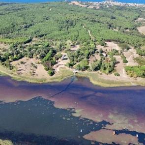 İstanbul'da g&ouml;renleri hayran bırakan manzara: Terkos G&ouml;l&uuml; pembeye b&uuml;r&uuml;nd&uuml;