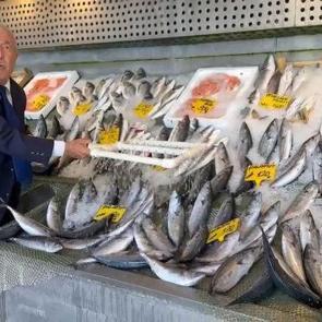 Hamsi ve palamut tezgahları doldurdu! 3 yıldır fiyatları değişmiyor
