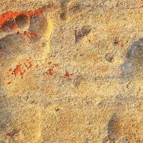Muğla&rsquo;da ilgin&ccedil; keşif: &Uuml;&ccedil; &ccedil;ocuğun izleri 1900 yıl sonra bulundu