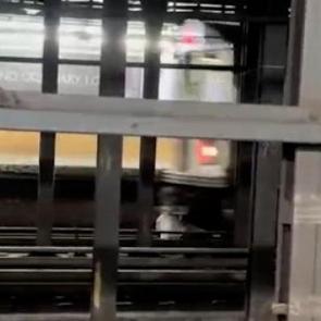 New york metrosunda dehşet anları: Arkadaşını kurtarmak isterken can verdi