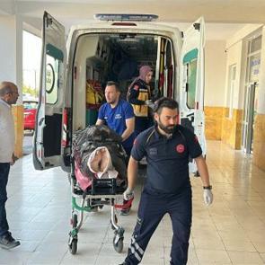 Sivas'ta ayı dehşeti! Yaralı &ccedil;oban helikopterle hastaneye kaldırıldı 