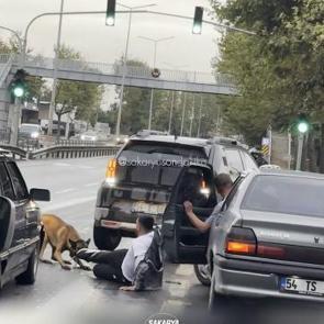 Sakarya'da başıboş k&ouml;pek dehşeti: Y&uuml;r&uuml;y&uuml;şe &ccedil;ıkan vatandaşı yolda s&uuml;r&uuml;kledi