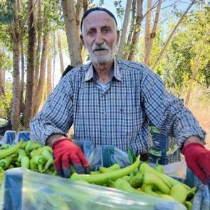 86 yaşında &uuml;retime devam ediyor: G&uuml;nl&uuml;k 6 ton satıyor