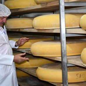 Peynirlerin Kralı olarak biliniyor: Kars&rsquo;ta &uuml;retilen gravyer peyniri d&uuml;nyaya ulaşıyor