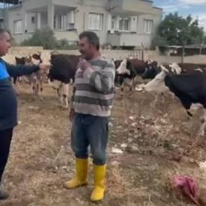Besicinin aldığı &ouml;nlem işe yaradı! Gaziantep'te kaybolan 17 b&uuml;y&uuml;kbaş bulundu