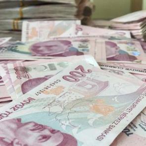Bakanlık 9 ayda 17,3 milyar lira SED &ouml;demesi yaptı