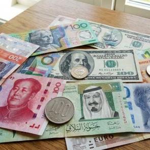 Herkes dolar alırken o y&uuml;kseldi: Dokuz ayda en &ccedil;ok kazandıran d&ouml;viz a&ccedil;ıklandı