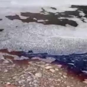 Marmara Denizi'nde kırmızı alarm! Deniz y&uuml;zeyi bir anda renk değiştirdi